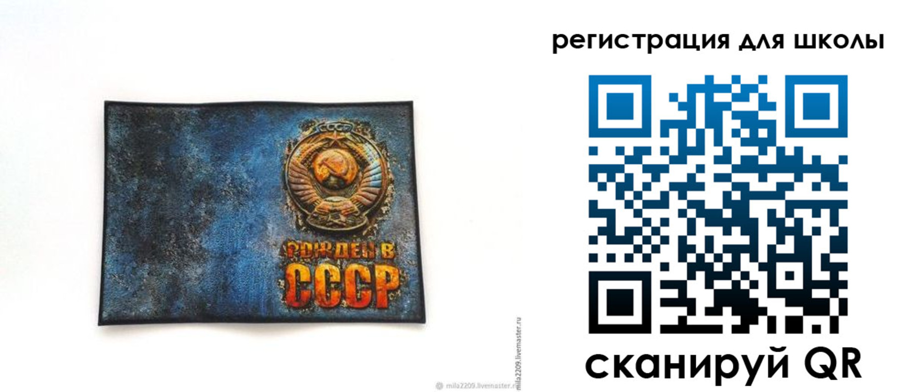 регистрация в Апатитах